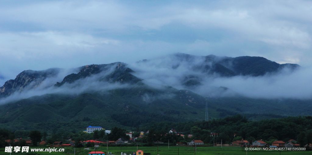 高山云雾