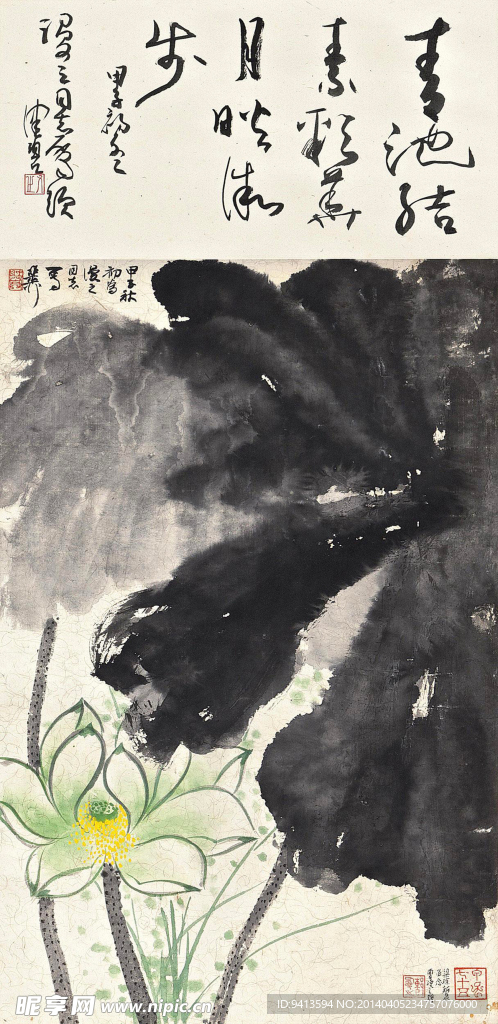 荷花