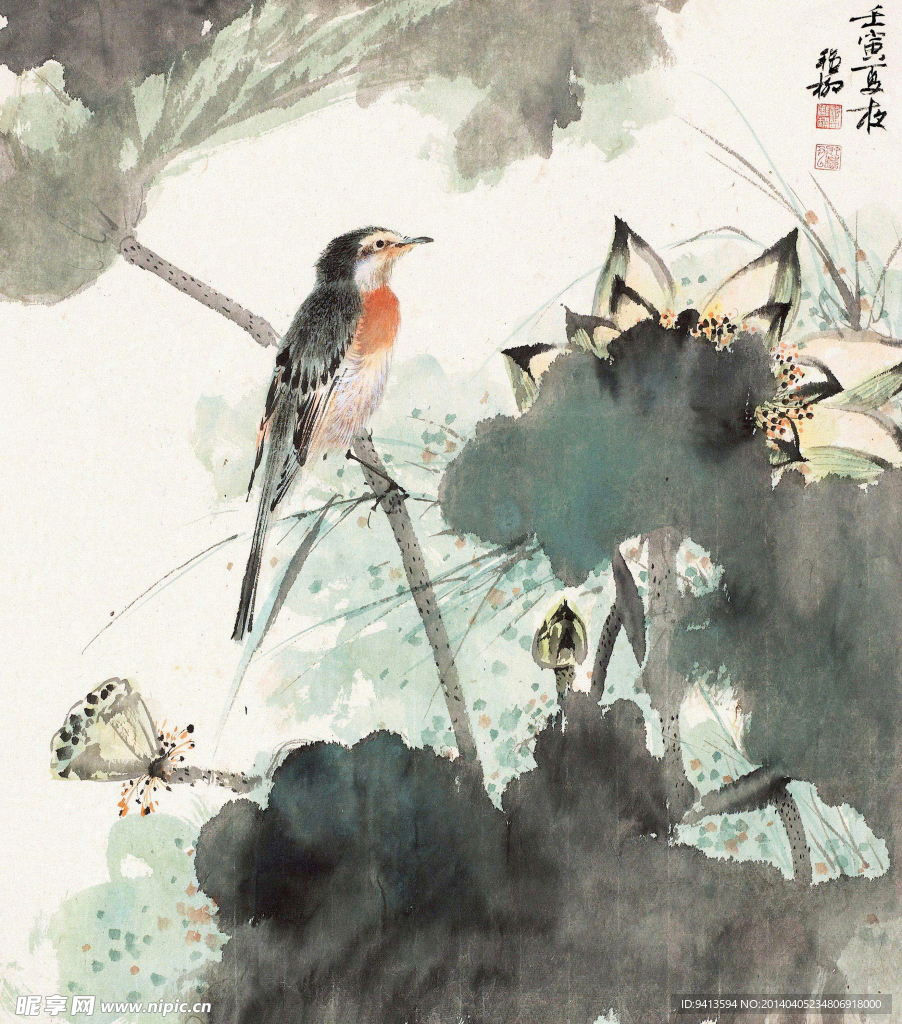 荷花小鸟