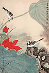 荷塘翠鸟