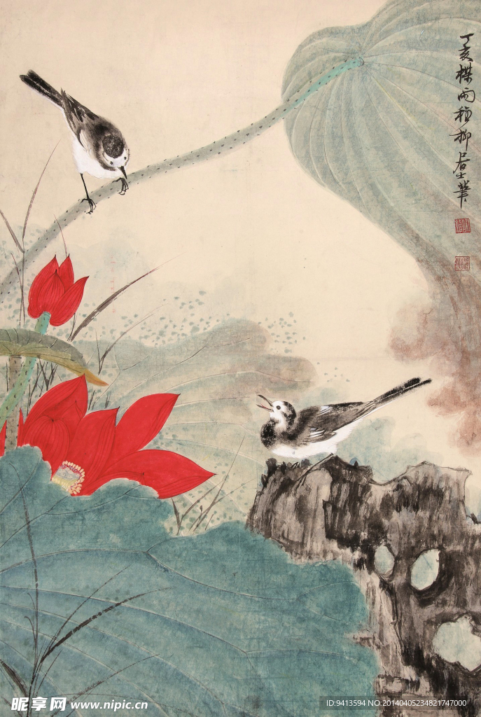 荷塘翠鸟