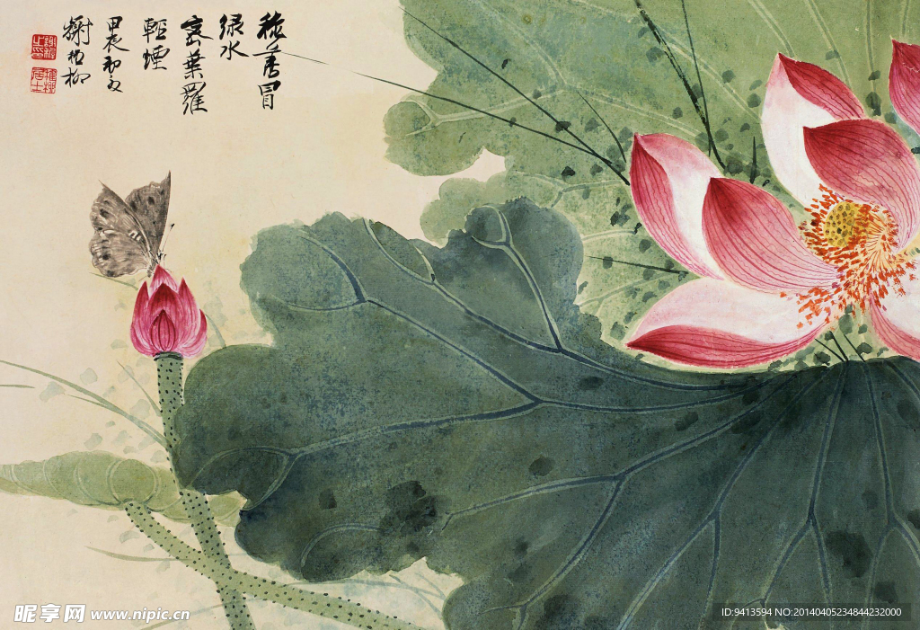 红荷