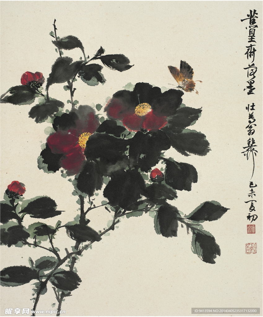 山茶蝴蝶