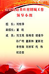领导小组