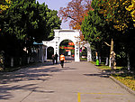 学校图片