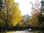 学校