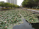 虎门公园