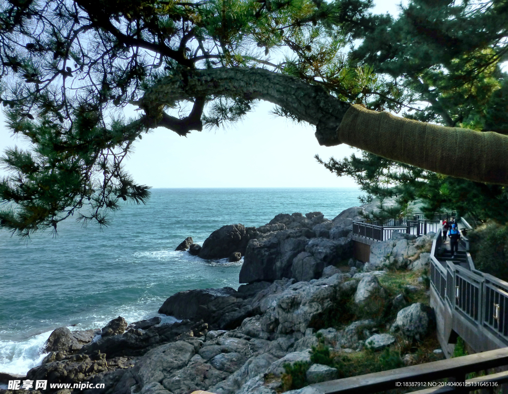 釜山海边景观