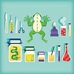 科学研究科学实验