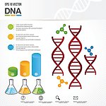 科学研究科学实验