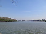 水面 玄武湖
