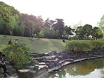 阳光草坪