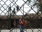 马戏团