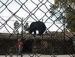 马戏团