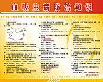 疾病防治知识