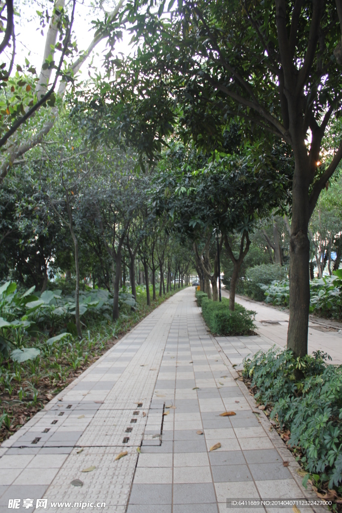 公园小路