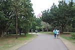 公园小路
