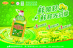 道道全菜籽油海报