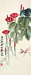草虫花卉
