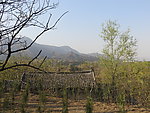 嵩山风景