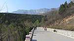 太室山春景