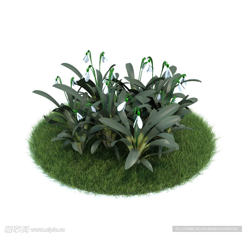 植物模型下载 植物