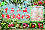 中原水城农场
