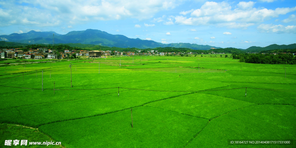 阡陌纵横