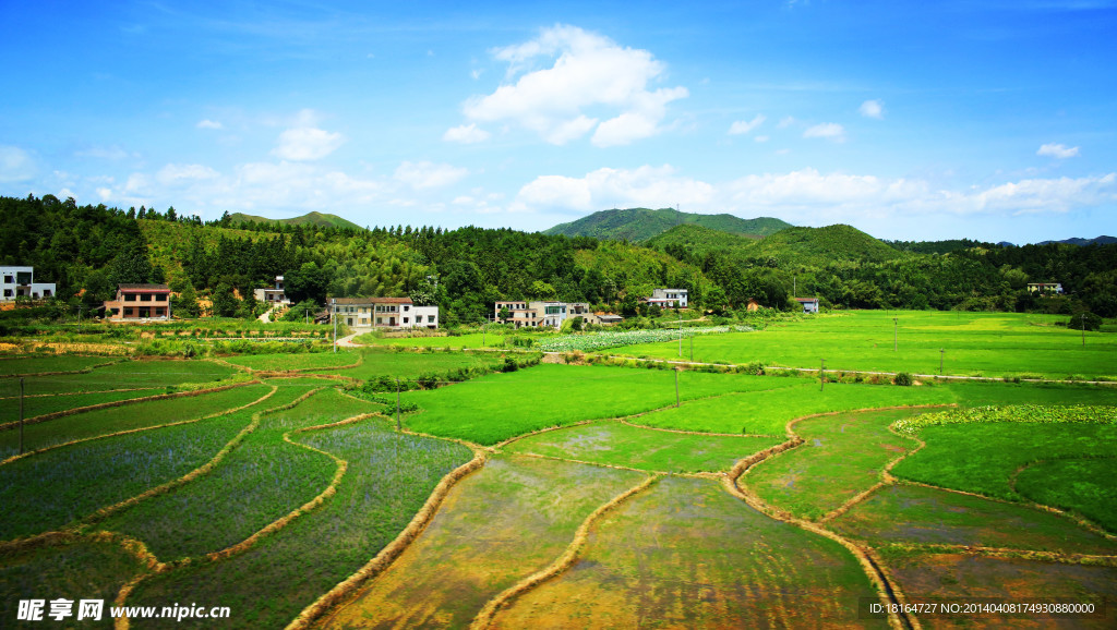 阡陌纵横 田园