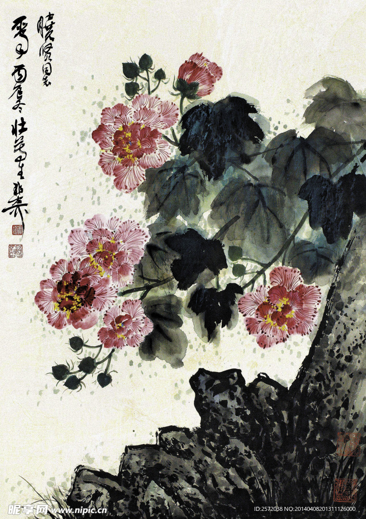 秋芙蓉