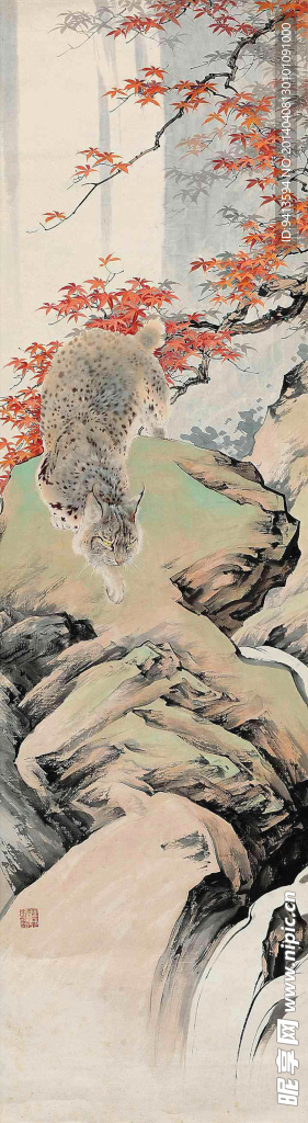 野猫
