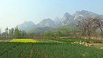 登封春景