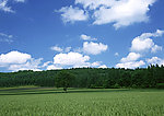 田野素材图片 田野