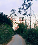 小路