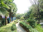 城市绿化