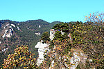 庐山风景