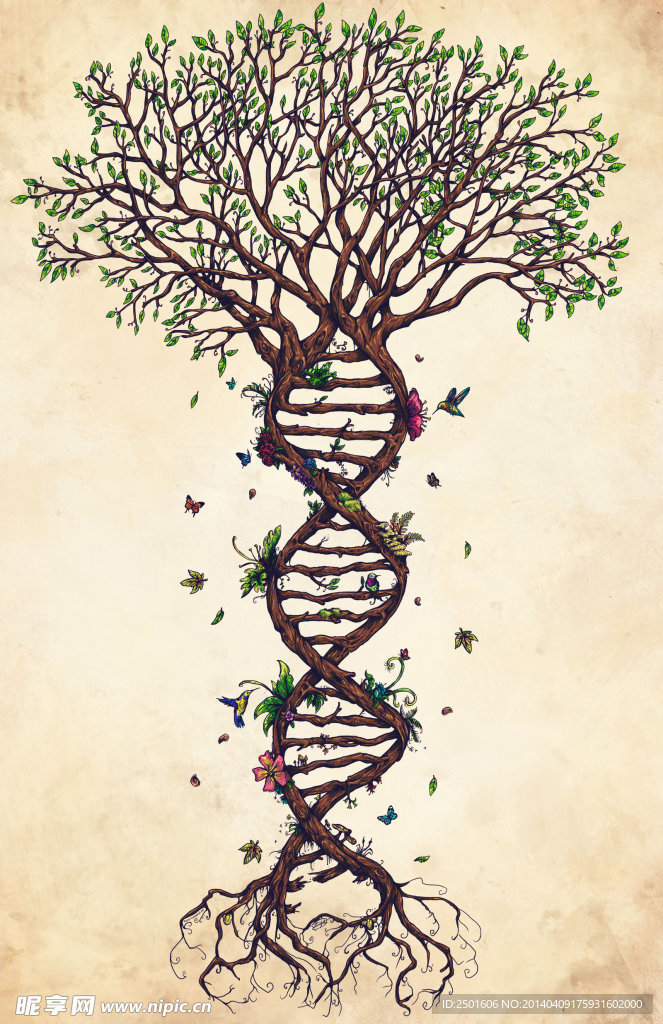 树形DNA