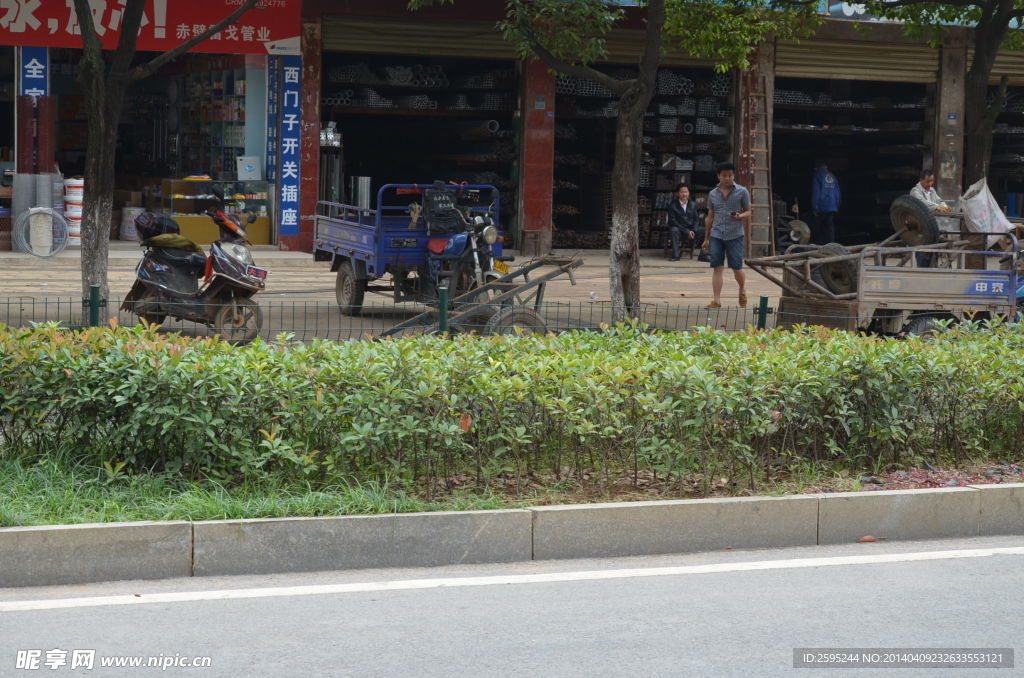 街道景观红叶石楠