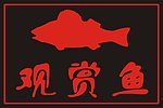 观赏鱼 led显屏