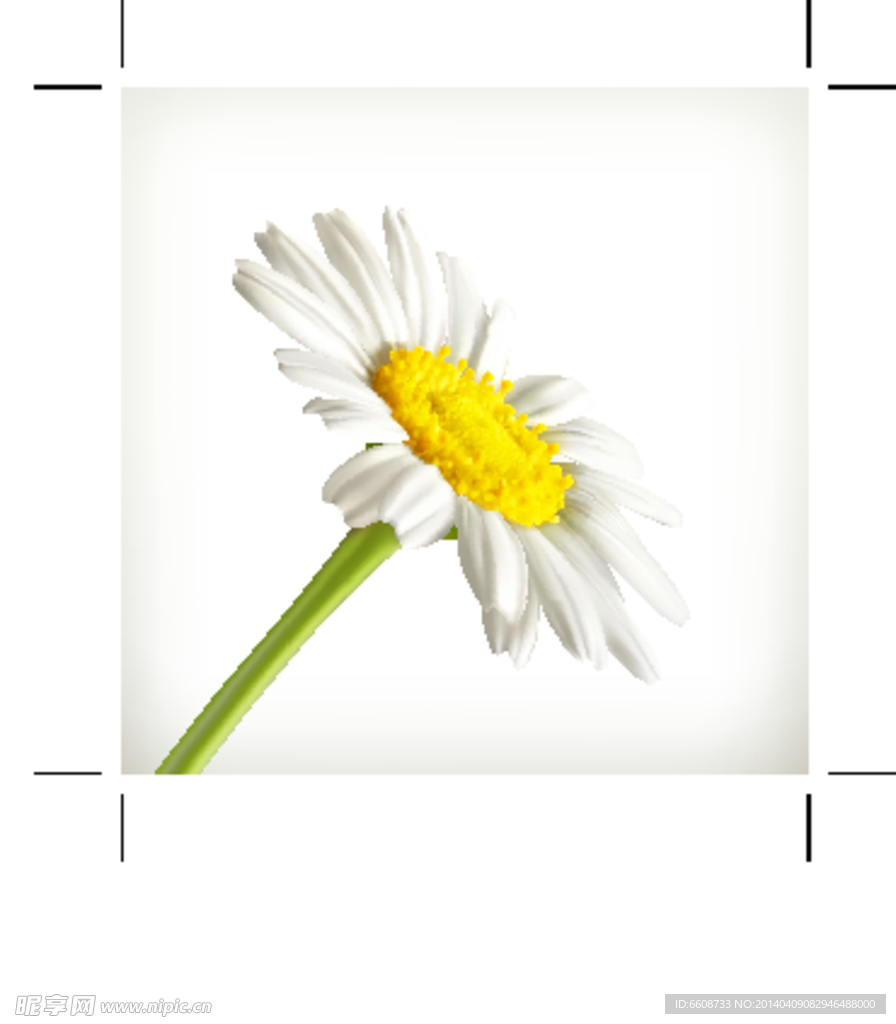 鲜花设计