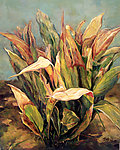 油画 万年青