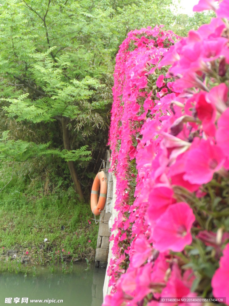 花桥