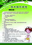 技术操作规程