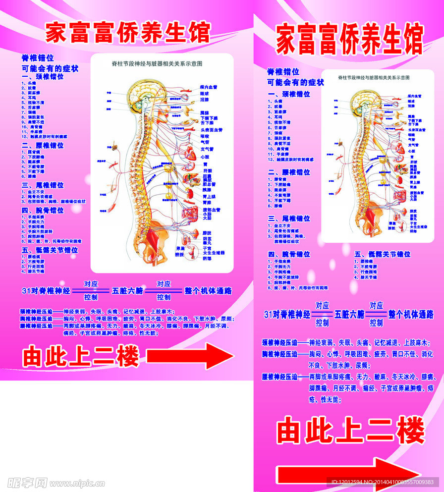 脊椎图