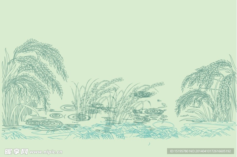 稻谷