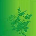花纹