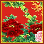 玫瑰花