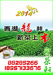西湖龙井茶海报