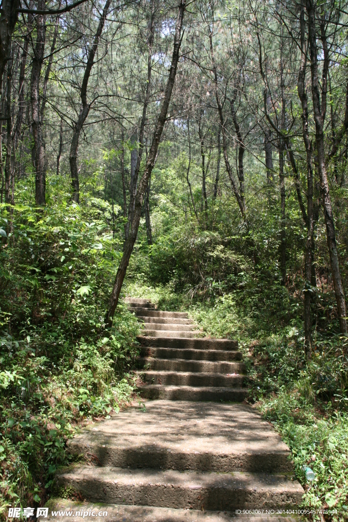 安微花山