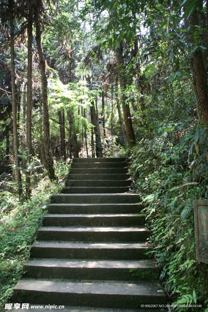 安微花山